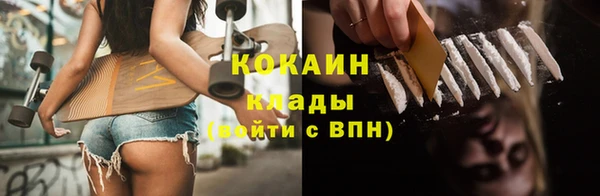 индика Белоозёрский