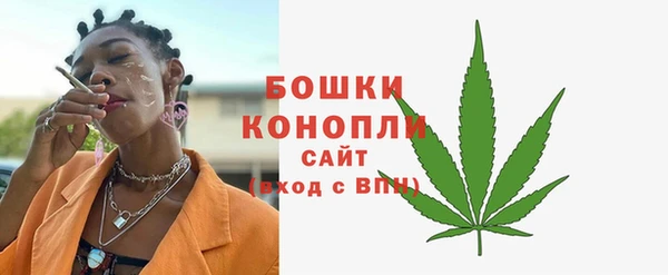 индика Белоозёрский