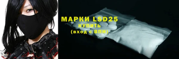 индика Белоозёрский