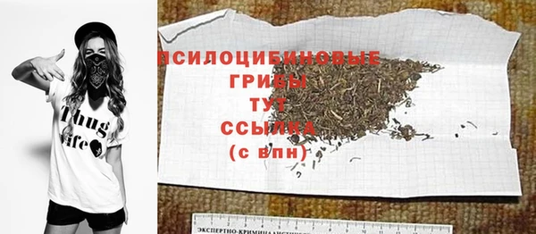 гидра Баксан